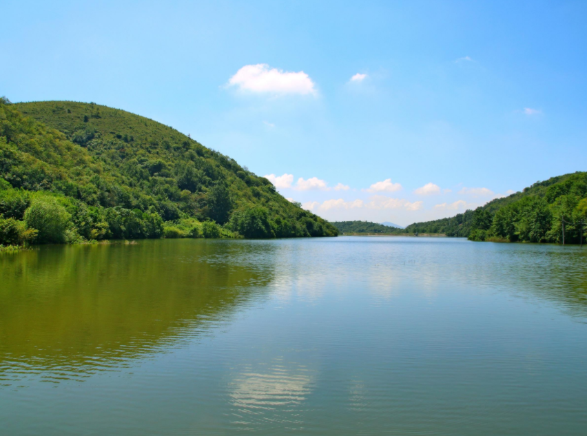 1647572433942923.png image.png