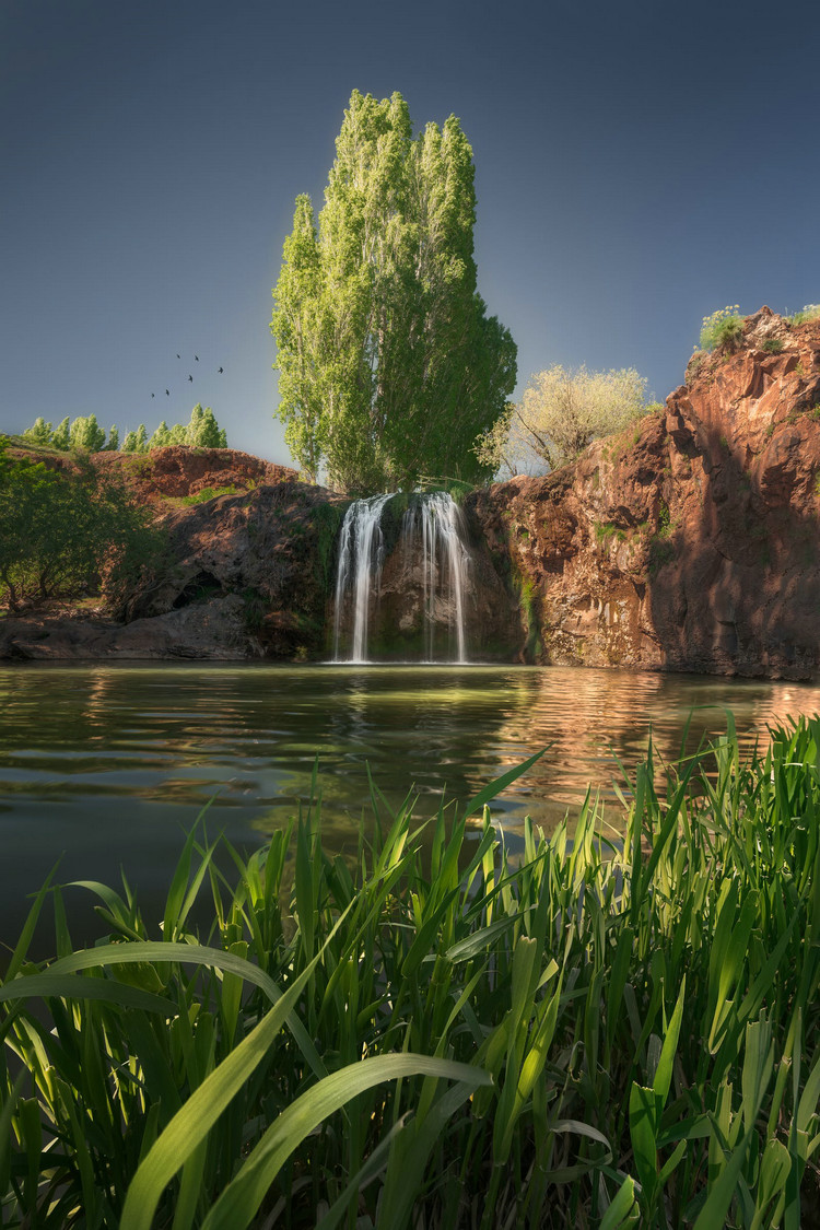 水產養殖業用藥現狀