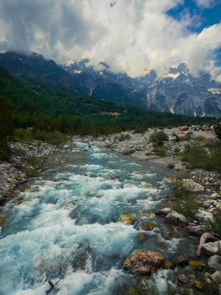 什么是水質生物毒性檢測原理