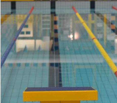 1665367599356717.jpg 游泳池.jpg