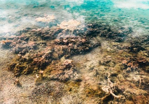 1667891652527031.jpg 重金屬廢水.jpg