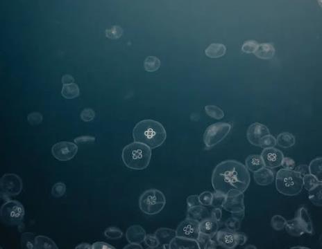 1667894045505654.jpg 水質(zhì)監(jiān)測.jpg