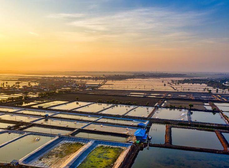 1669018735546866.png 養(yǎng)魚.png