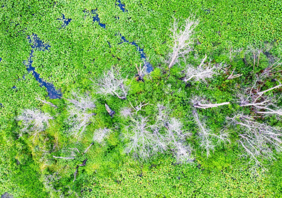 1676014892891292.png 保護環境.png