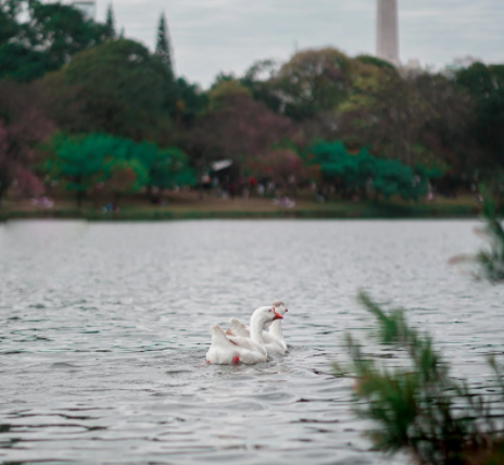 1677035297919548.png 水環境.png