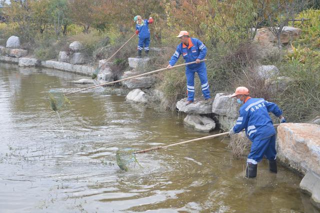 1677568437696340.jpg 1646789883529161.jpg