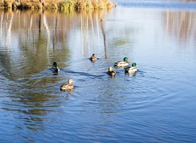 1680317927500702.png 公園 (1).png